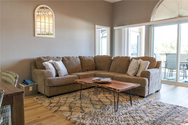 46 Aqua Fin Dr Unit 4A, Lake Ozark, MO 65049 - living area featuring light wood finished floors