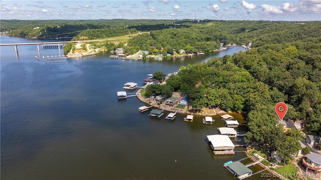 161 Tanglewood Dr, Camdenton, MO 65020 - aerial view of a forest and a large body of water