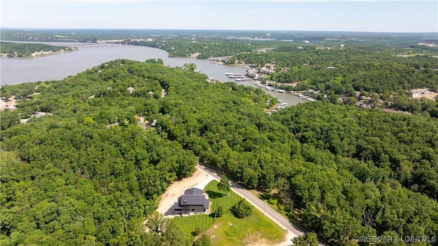 1275 Bluff Dr, Osage Beach, MO 65065 - photo 42