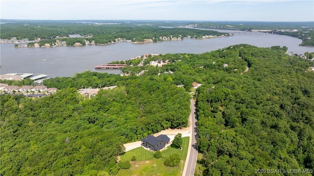 1275 Bluff Dr, Osage Beach, MO 65065 - photo 43