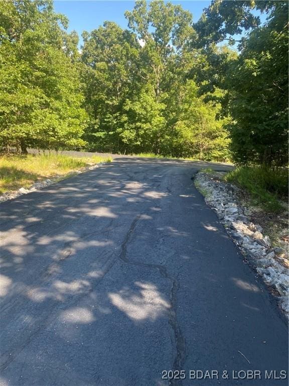 LOT1275 Champions Run, Sunrise Beach, MO 65079