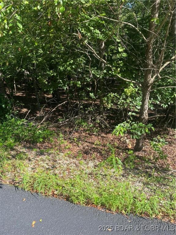 LOT1275 Champions Run, Sunrise Beach, MO 65079