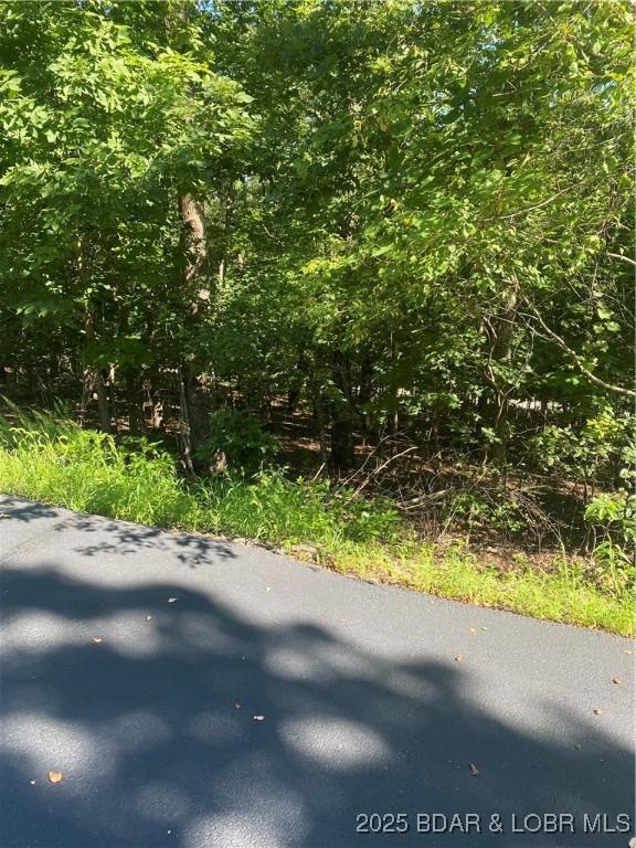 LOT1275 Champions Run, Sunrise Beach, MO 65079