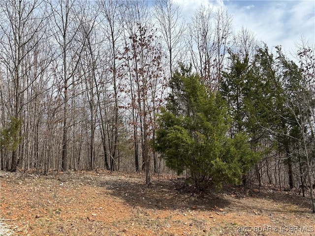 31475 Ivy Bend Rd, Stover, MO 65078 - view of wooded area