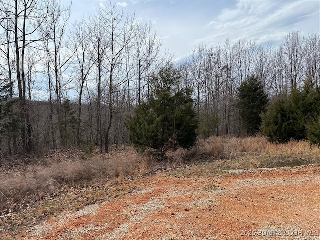 31475 Ivy Bend Rd, Stover, MO 65078 - view of woods