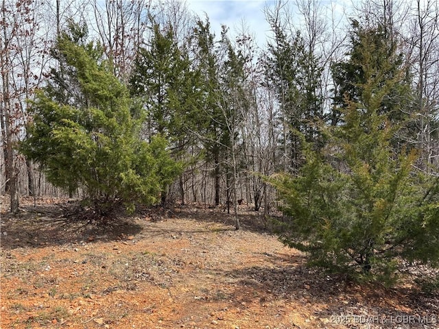 31475 Ivy Bend Rd, Stover, MO 65078 - view of nature