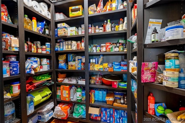 87 Glenmeadows Ct, Linn Creek, MO 65052 - view of pantry