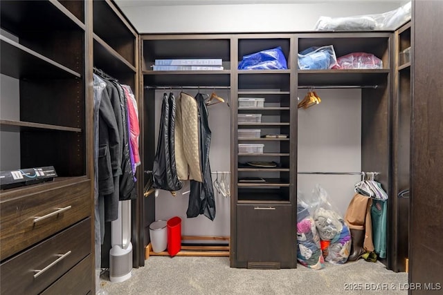 87 Glenmeadows Ct, Linn Creek, MO 65052 - view of spacious closet