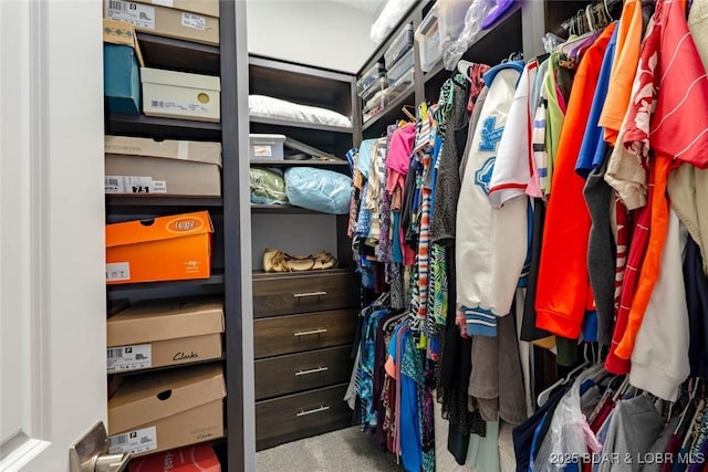 87 Glenmeadows Ct, Linn Creek, MO 65052 - spacious closet featuring carpet floors