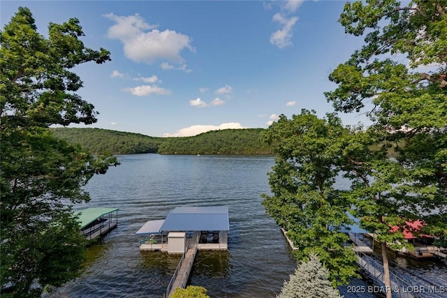 87 Glenmeadows Ct, Linn Creek, MO 65052 - dock area featuring a water view and a forest view