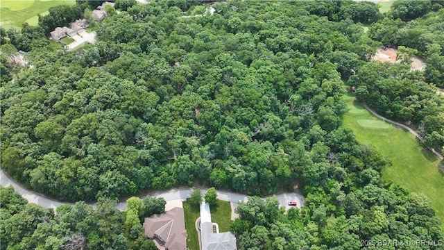 LOT1045 Southshore Pl, Sunrise Beach, MO 65079 - photo 12