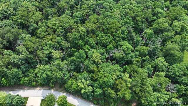 LOT1045 Southshore Pl, Sunrise Beach, MO 65079 - photo 13