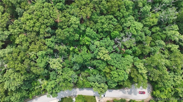 LOT1045 Southshore Pl, Sunrise Beach, MO 65079 - photo 14