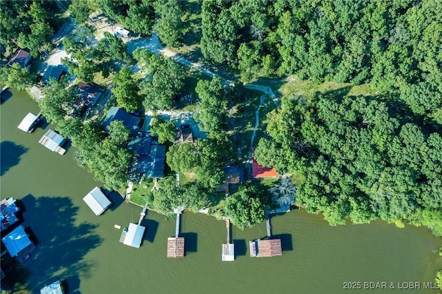 4230 Fox Hollow Ln, Stover, MO 65078 - aerial view of a nearby body of water