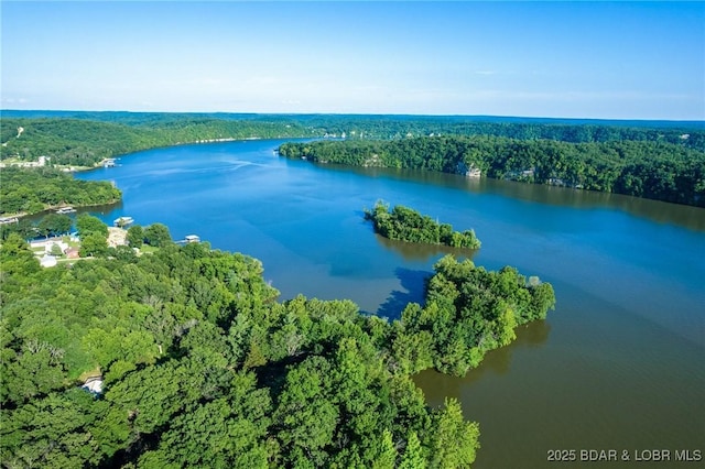 4230 Fox Hollow Ln, Stover, MO 65078 - drone / aerial view of a forest and a large body of water