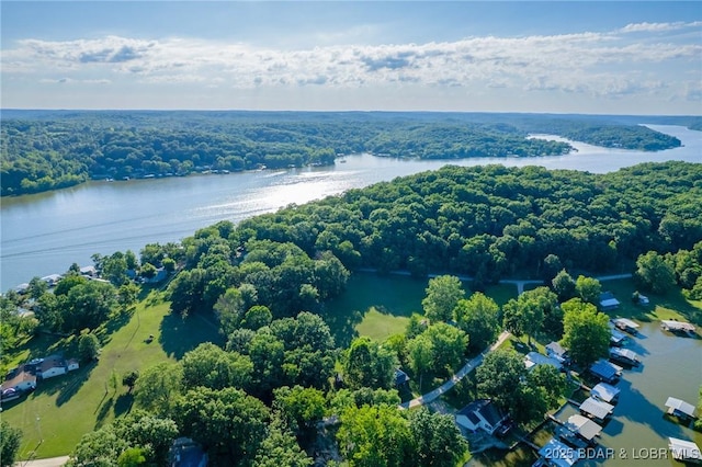 4230 Fox Hollow Ln, Stover, MO 65078 - view of property location with a nearby body of water and a forest