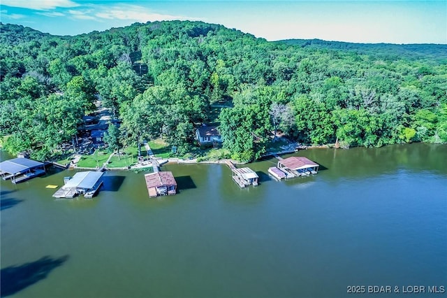 4230 Fox Hollow Ln, Stover, MO 65078 - aerial view of a forest and a large body of water