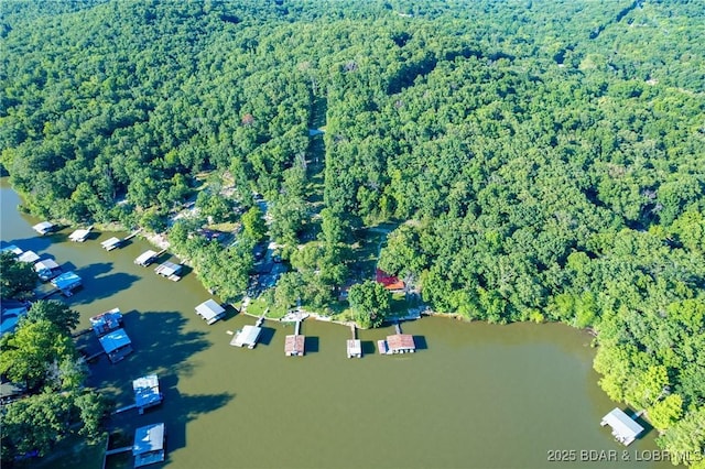 4230 Fox Hollow Ln, Stover, MO 65078 - view of property location featuring a heavily wooded area and a large body of water