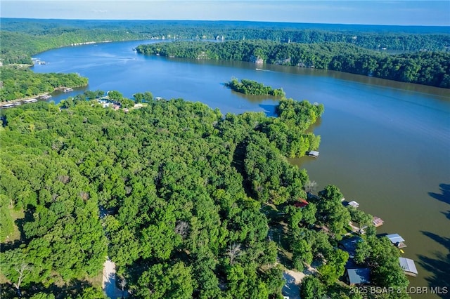 4230 Fox Hollow Ln, Stover, MO 65078 - view of property location with a heavily wooded area and a large body of water