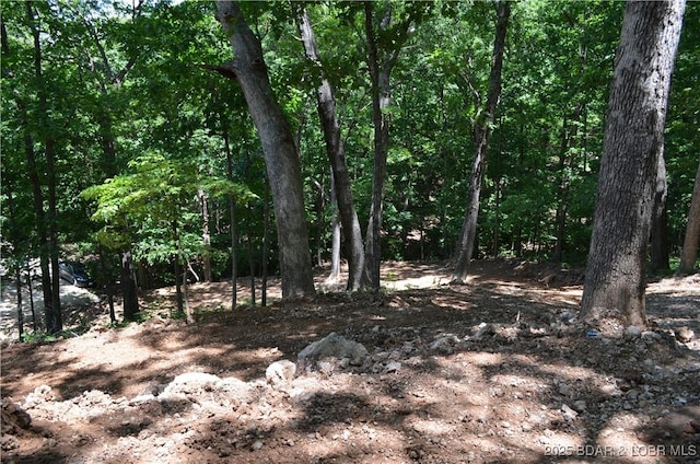 27261 Marina Ln, Barnett, MO 65011 - photo 22