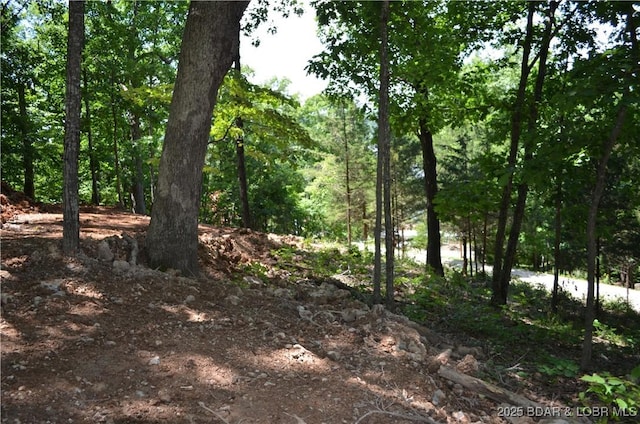 27261 Marina Ln, Barnett, MO 65011 - photo 24