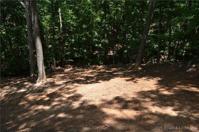 27261 Marina Ln, Barnett, MO 65011 - photo 26