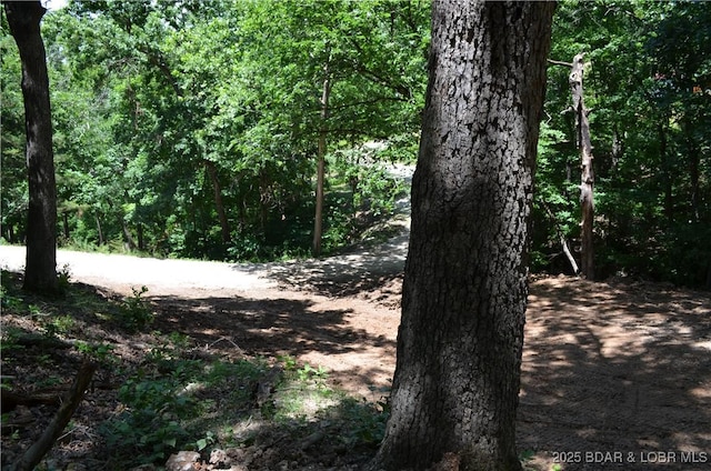 27261 Marina Ln, Barnett, MO 65011 - photo 27
