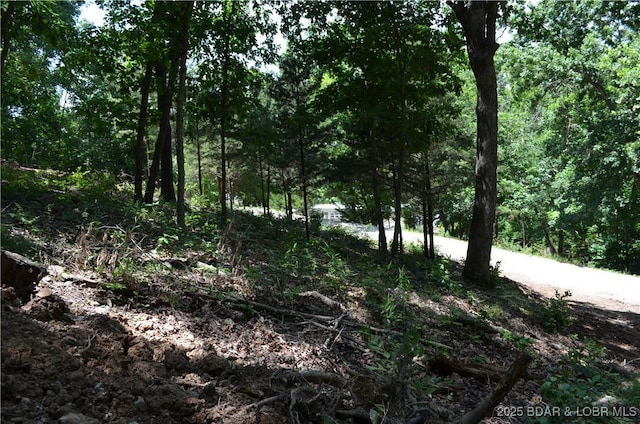 27261 Marina Ln, Barnett, MO 65011 - photo 28