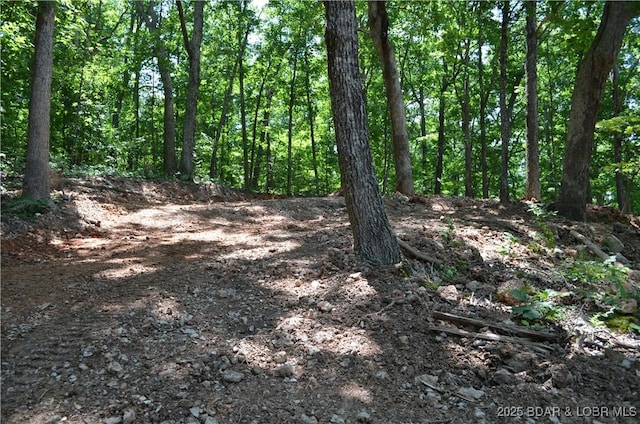 27261 Marina Ln, Barnett, MO 65011 - photo 30