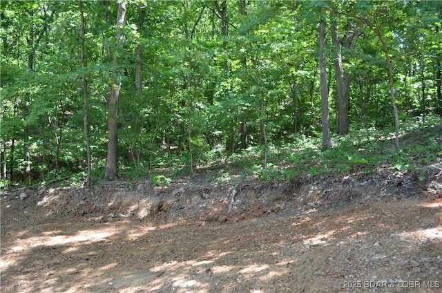 27261 Marina Ln, Barnett, MO 65011 - photo 32