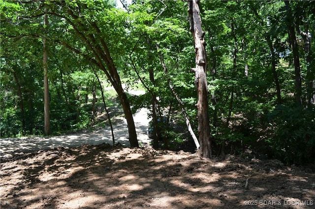 27261 Marina Ln, Barnett, MO 65011 - photo 35