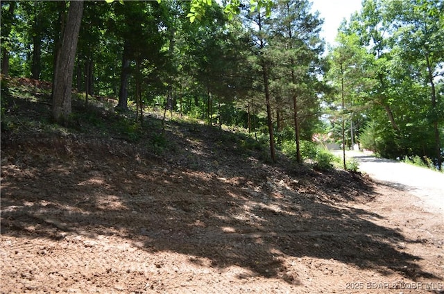 27261 Marina Ln, Barnett, MO 65011 - photo 36