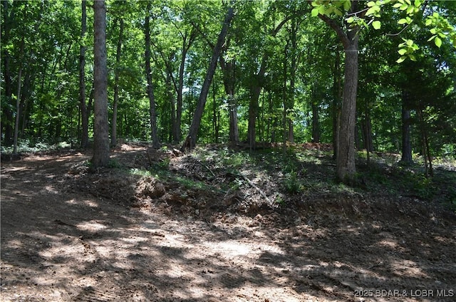 27261 Marina Ln, Barnett, MO 65011 - photo 37