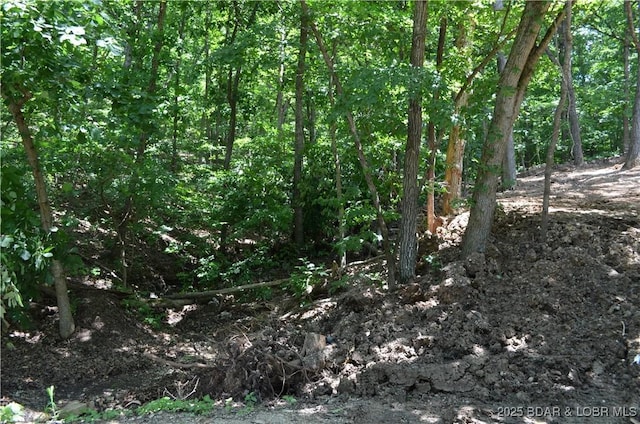 27261 Marina Ln, Barnett, MO 65011 - photo 38