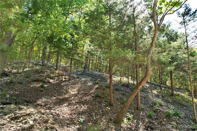 27261 Marina Ln, Barnett, MO 65011 - photo 39