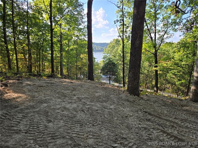 27261 Marina Ln, Barnett, MO 65011 - photo 41