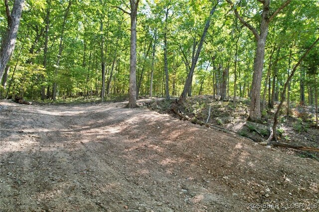 27261 Marina Ln, Barnett, MO 65011 - photo 42