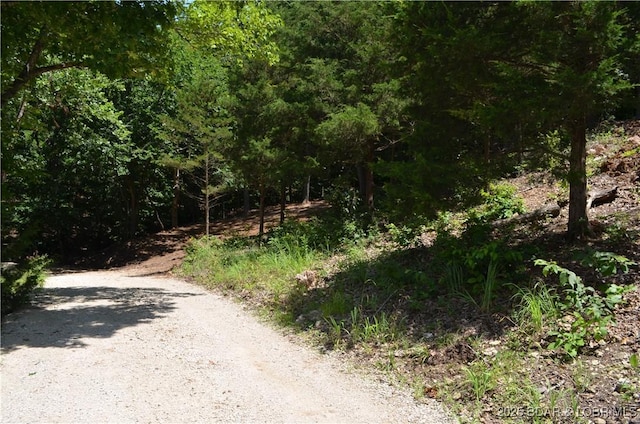 27261 Marina Ln, Barnett, MO 65011 - photo 3