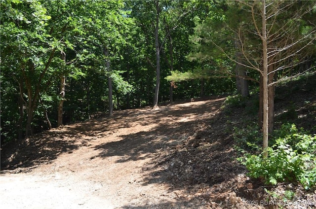 27261 Marina Ln, Barnett, MO 65011 - photo 4