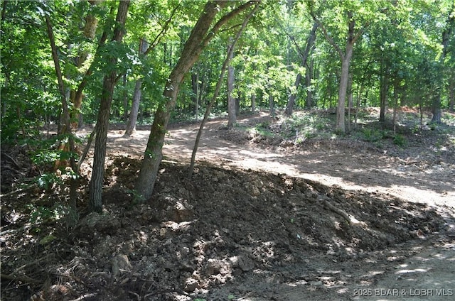 27261 Marina Ln, Barnett, MO 65011 - photo 7