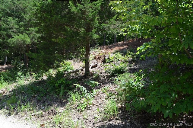 27261 Marina Ln, Barnett, MO 65011 - photo 8
