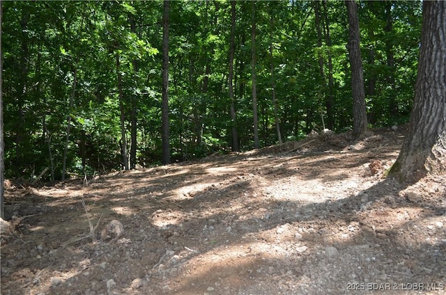 27261 Marina Ln, Barnett, MO 65011 - photo 9