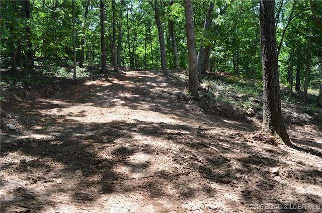 27261 Marina Ln, Barnett, MO 65011 - photo 10