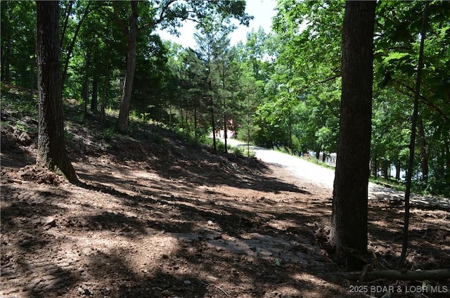 27261 Marina Ln, Barnett, MO 65011 - photo 11