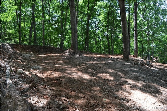 27261 Marina Ln, Barnett, MO 65011 - photo 13