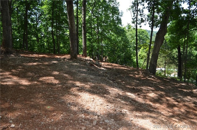 27261 Marina Ln, Barnett, MO 65011 - photo 14