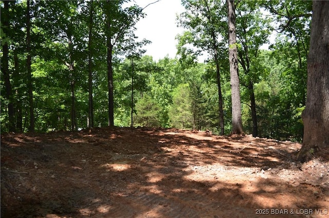 27261 Marina Ln, Barnett, MO 65011 - photo 15