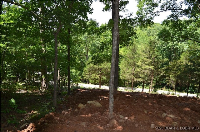 27261 Marina Ln, Barnett, MO 65011 - photo 17