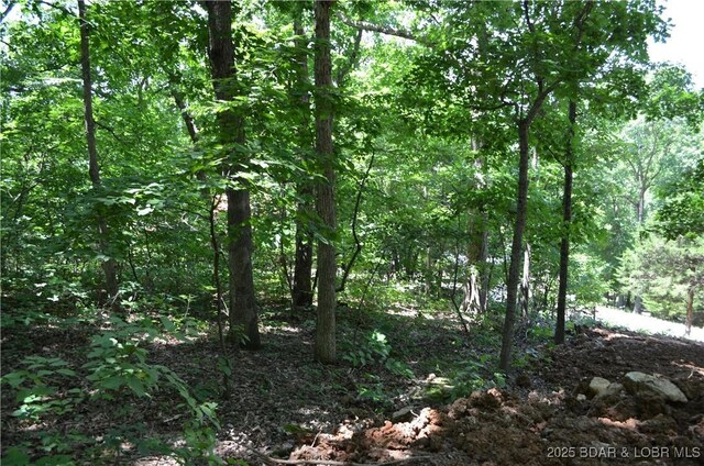 27261 Marina Ln, Barnett, MO 65011 - photo 18