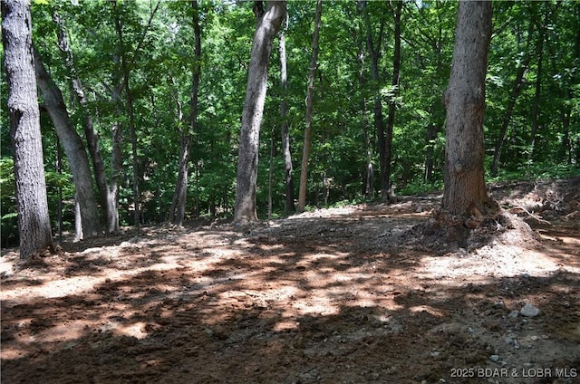 27261 Marina Ln, Barnett, MO 65011 - photo 20